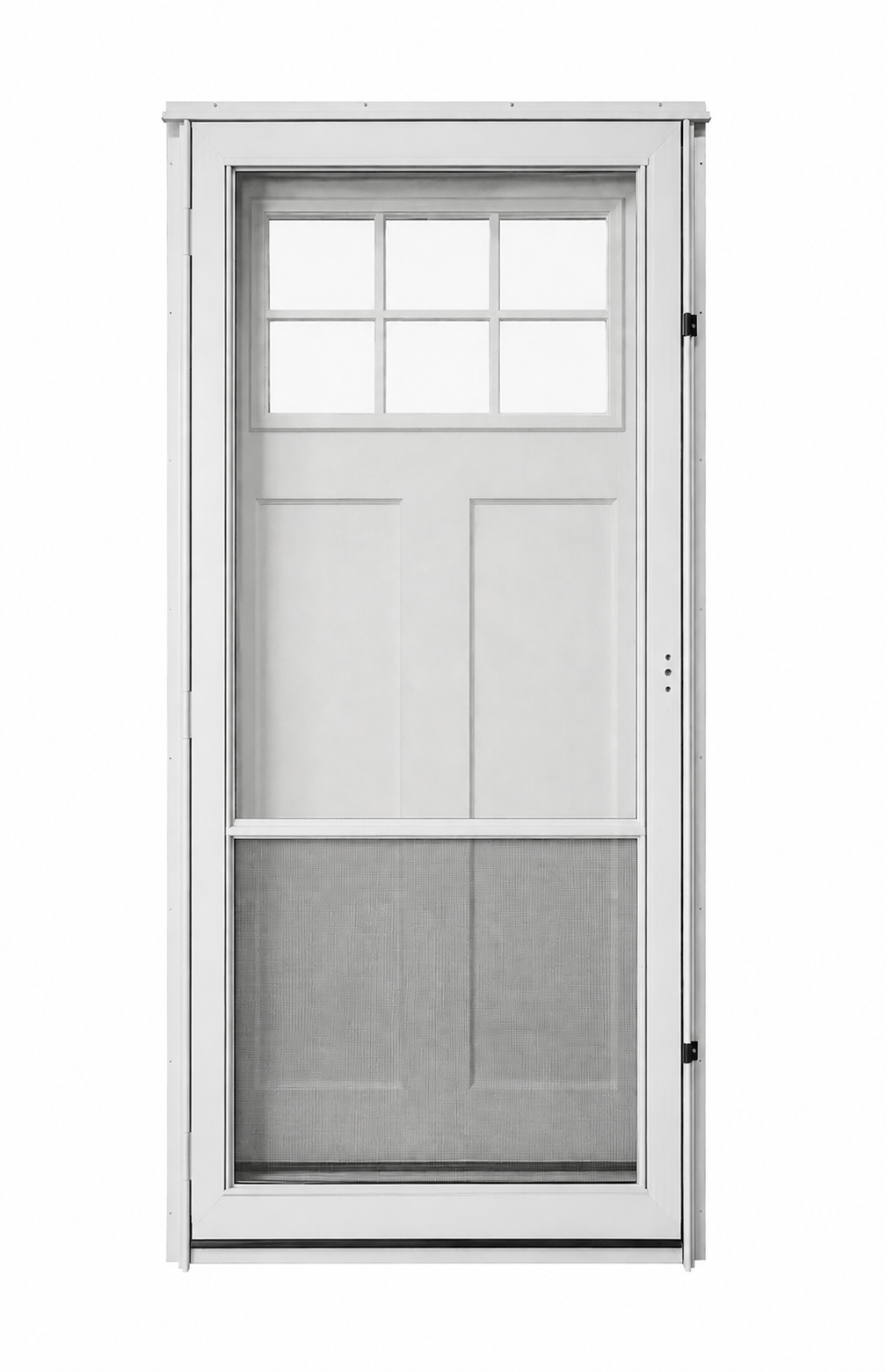 Lifestyle 6-Lite Combo Door Standard Storm Door