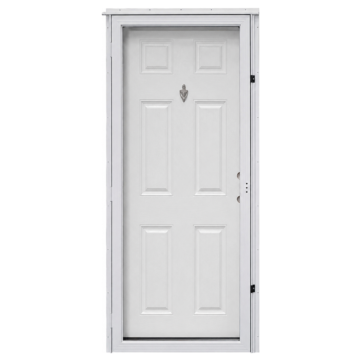 Lifestyle 6-Panel Combo Door All Glass Storm Door