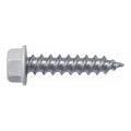 Hex Screw White, #8x1"