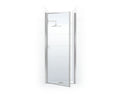 Pivot Shower Door